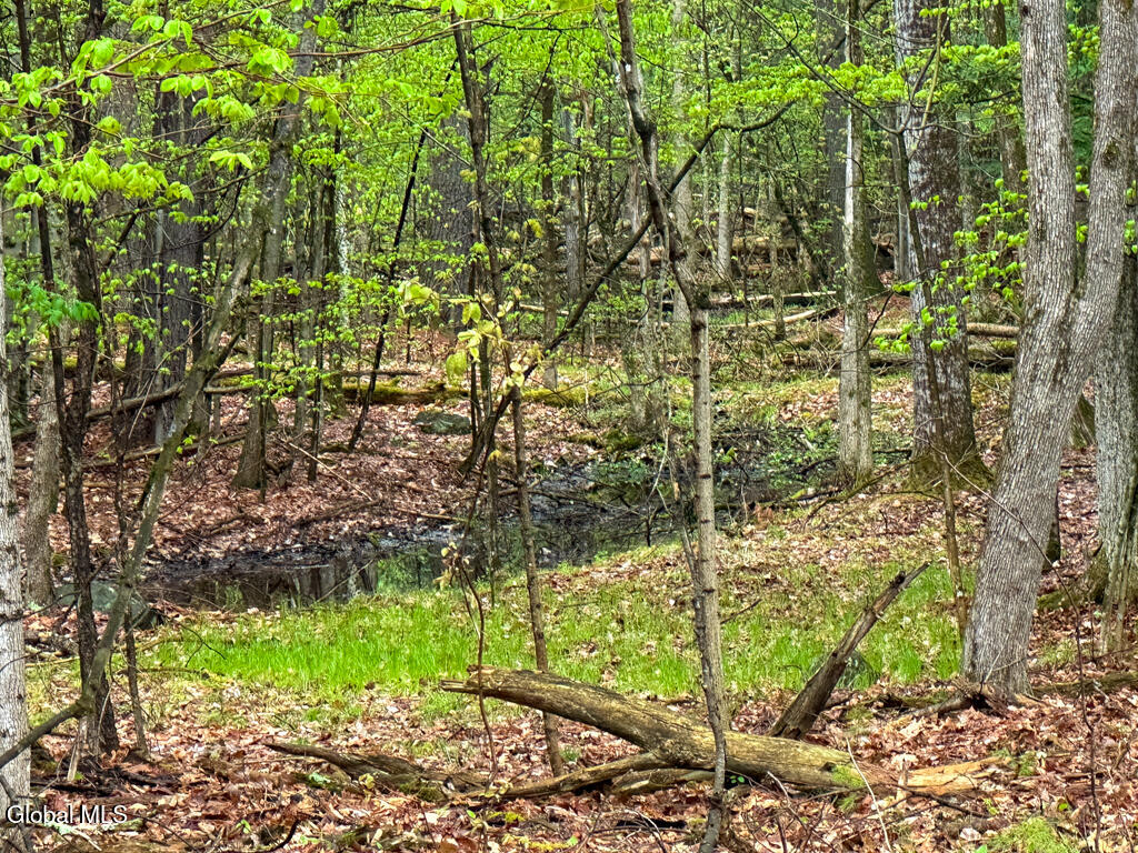 L59 Pilot Knob Road