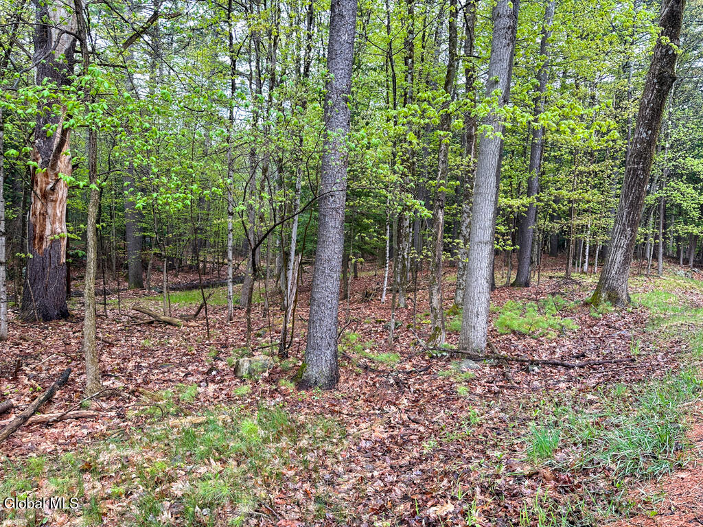 L59 Pilot Knob Road