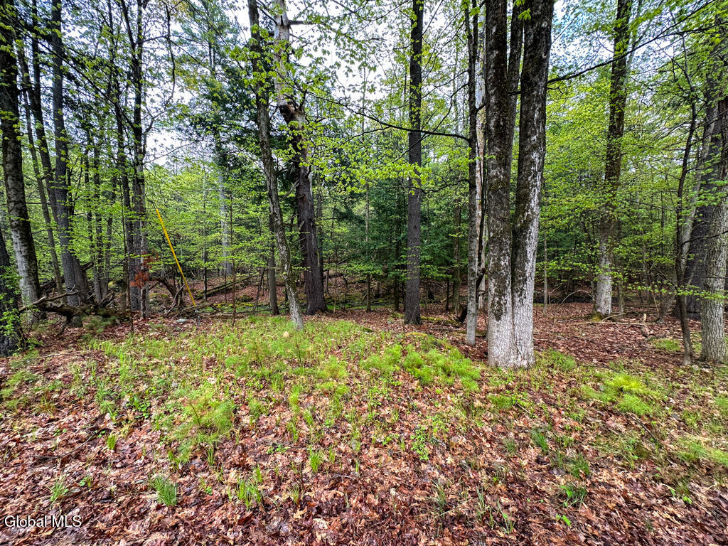 L59 Pilot Knob Road