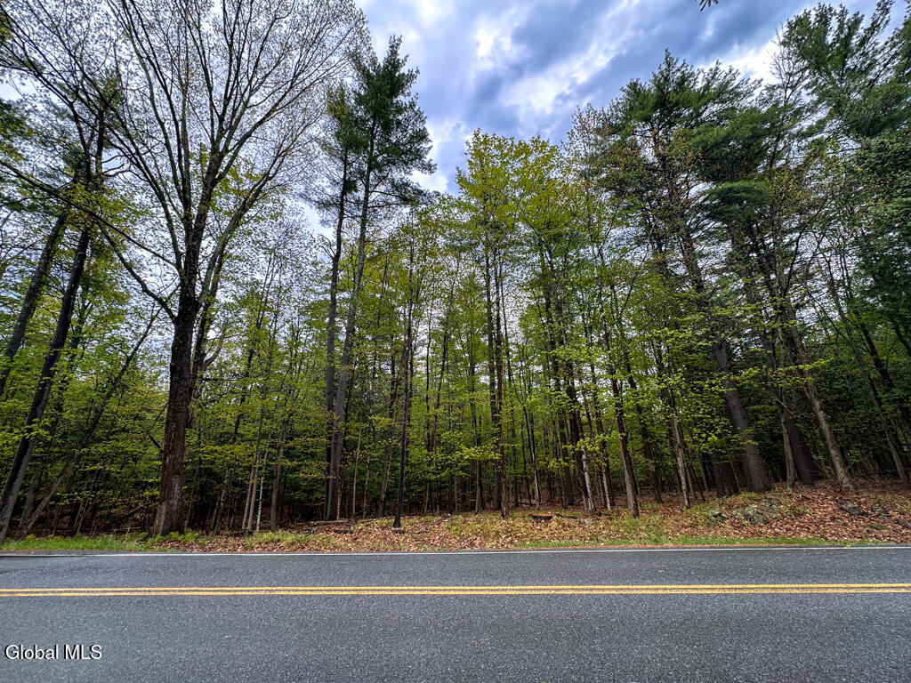 L59 Pilot Knob Road