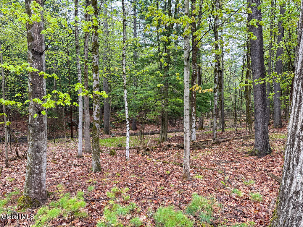 L59 Pilot Knob Road