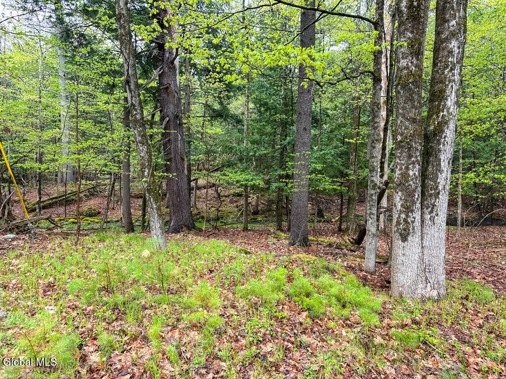 L59 Pilot Knob Road