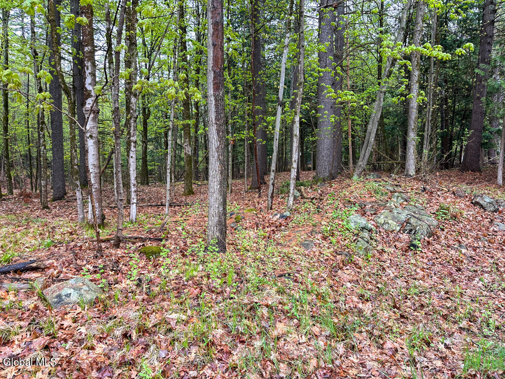 L59 Pilot Knob Road