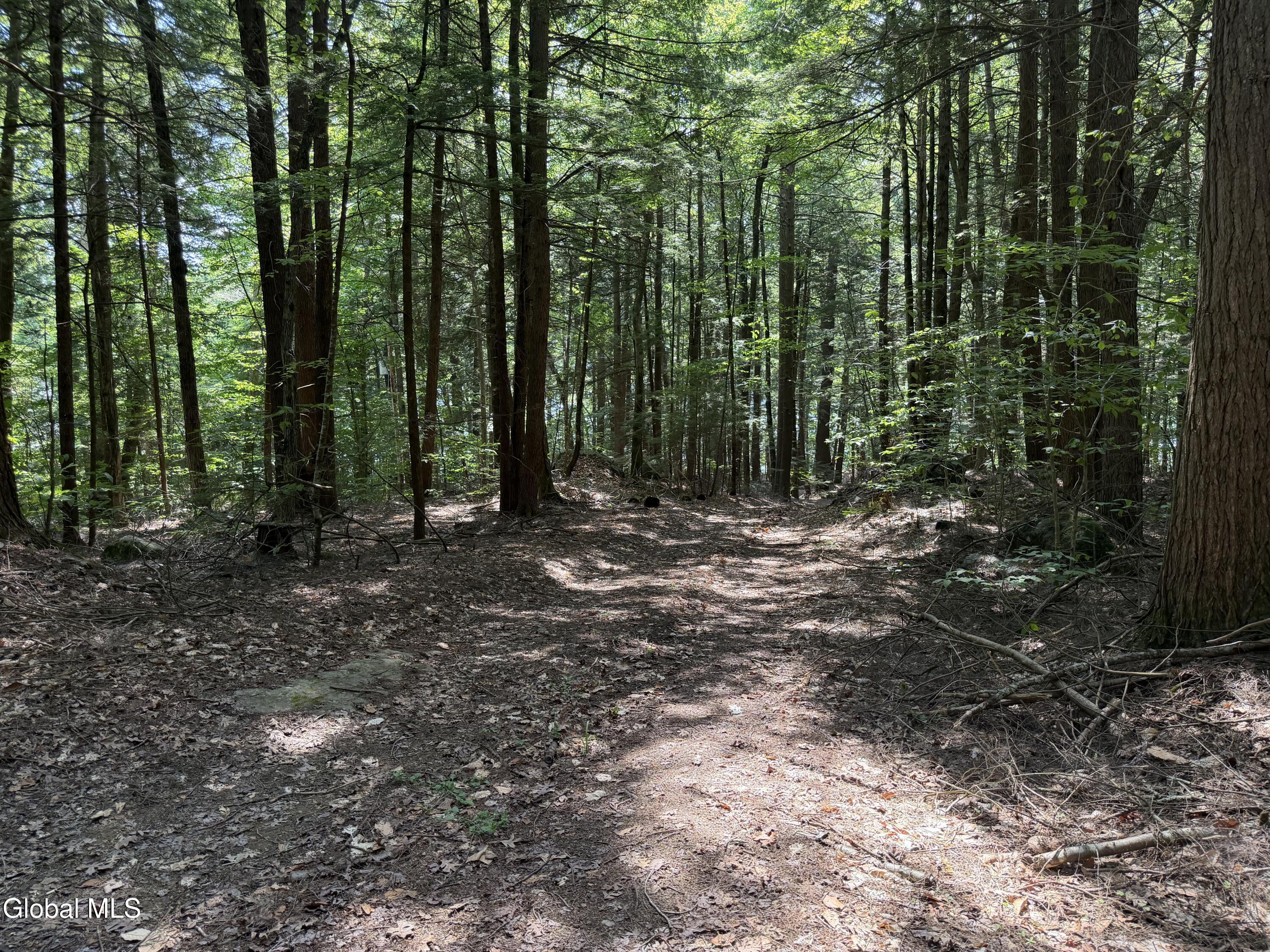 740 Coolidge Hill Road