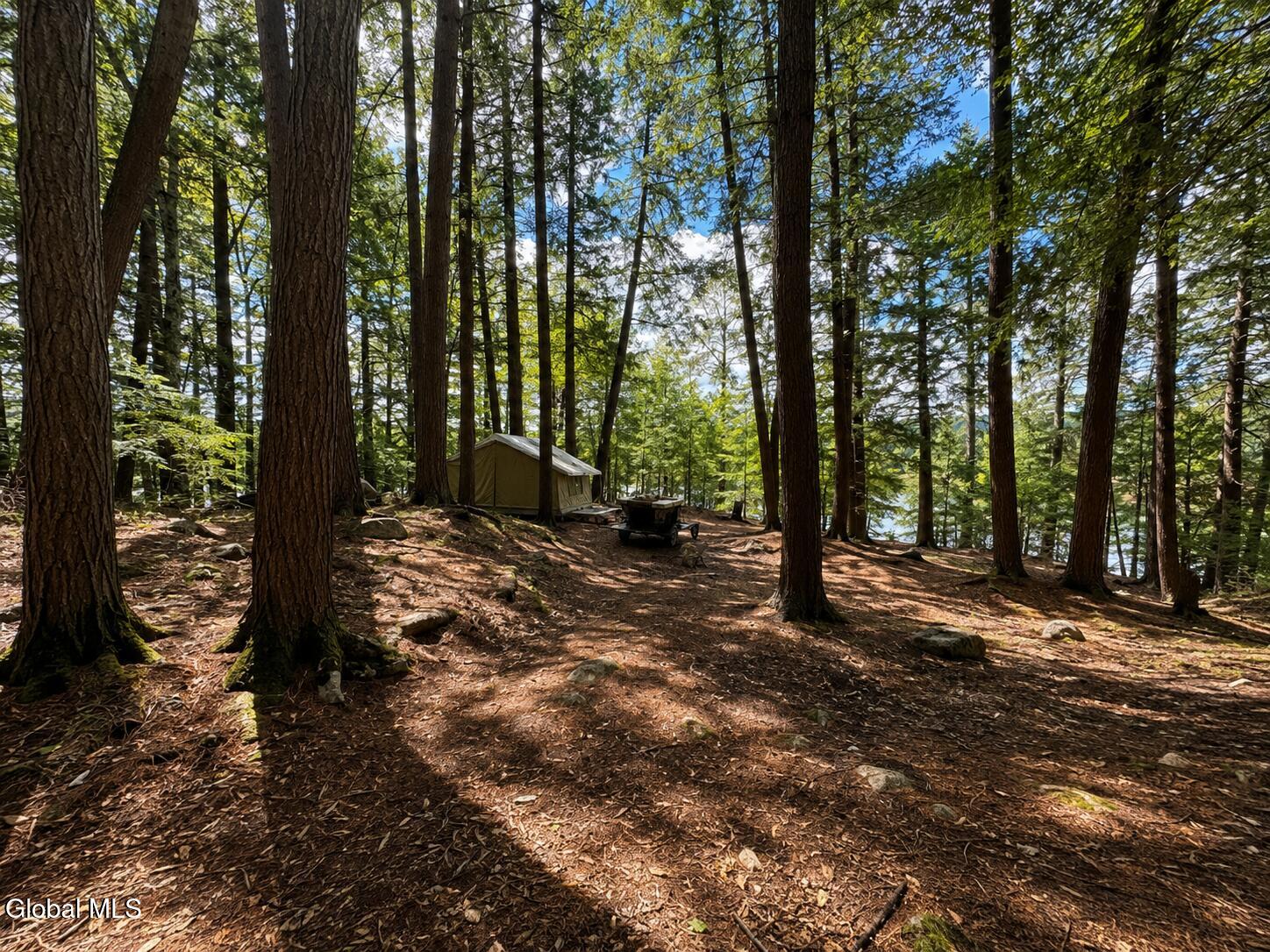740 Coolidge Hill Road