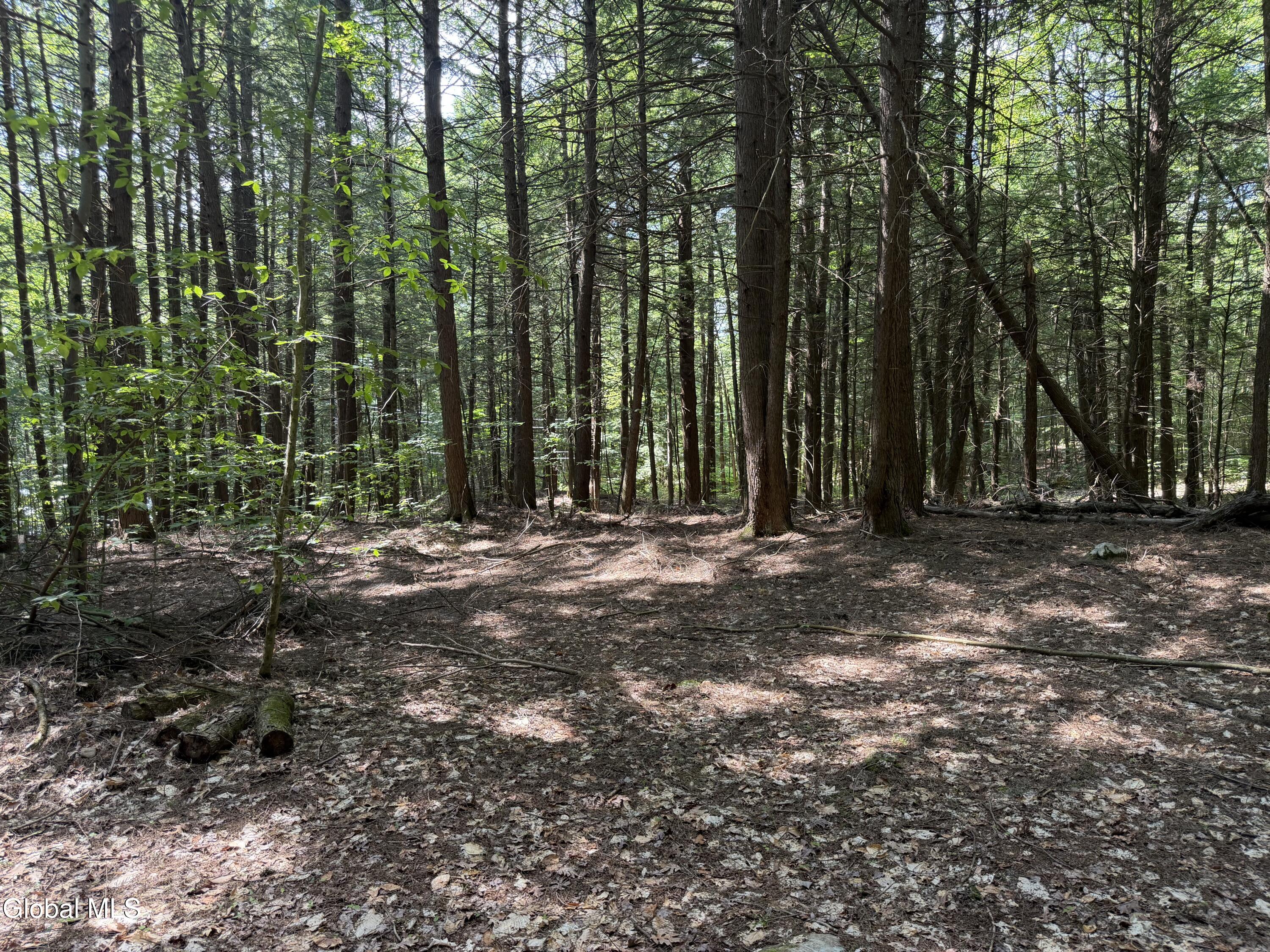 740 Coolidge Hill Road