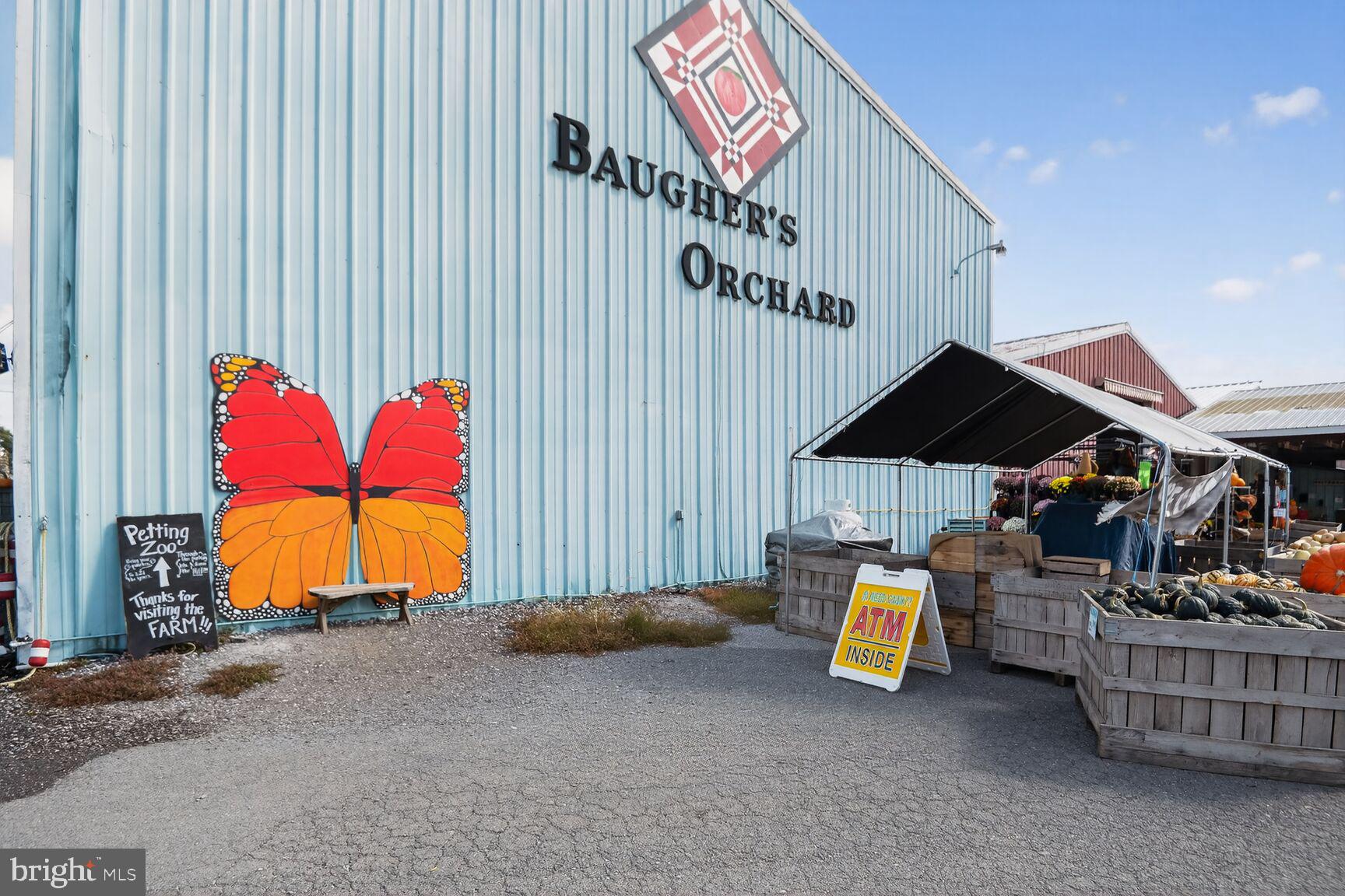 71 FAIRGROUND AVENUE