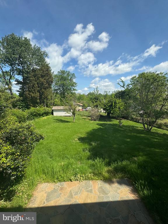 Backyard lawn bordered by mature trees, with a small shed and stone patio.