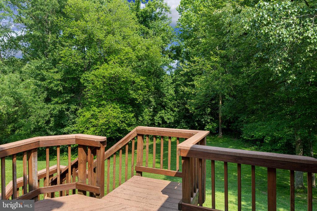 Wooden deck overlooking a tree-lined backyard.