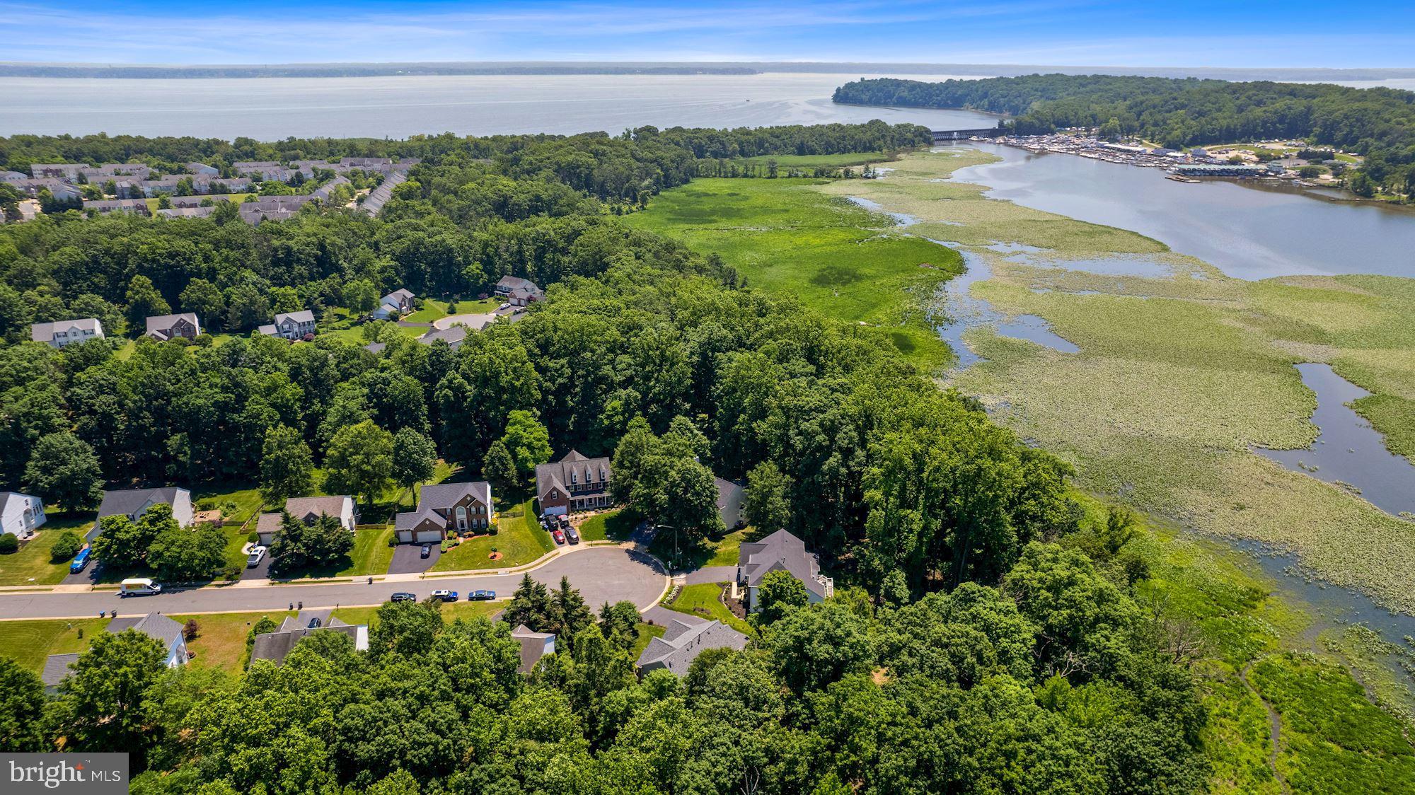 15590 CANVASBACK COURT