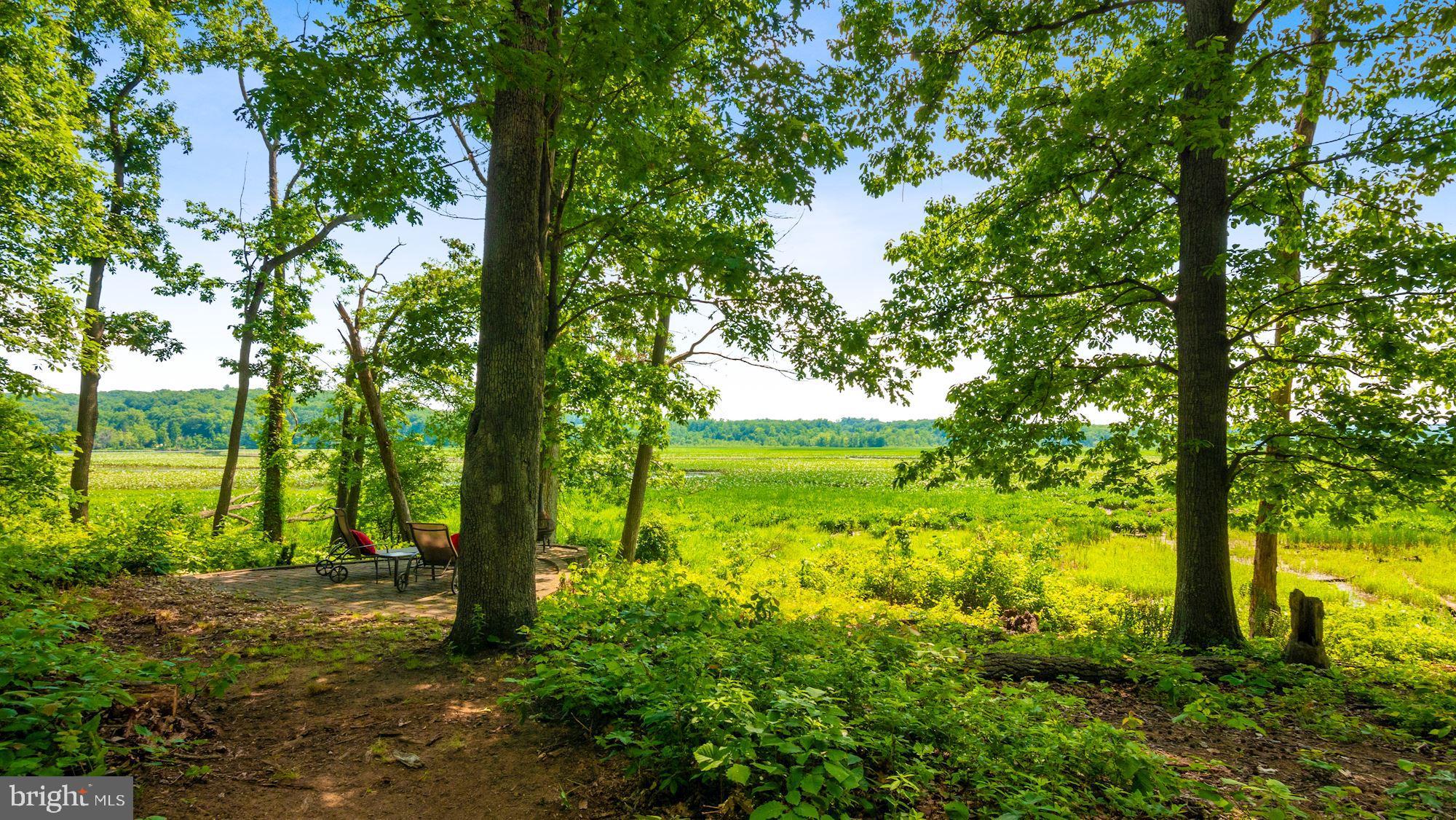15590 CANVASBACK COURT