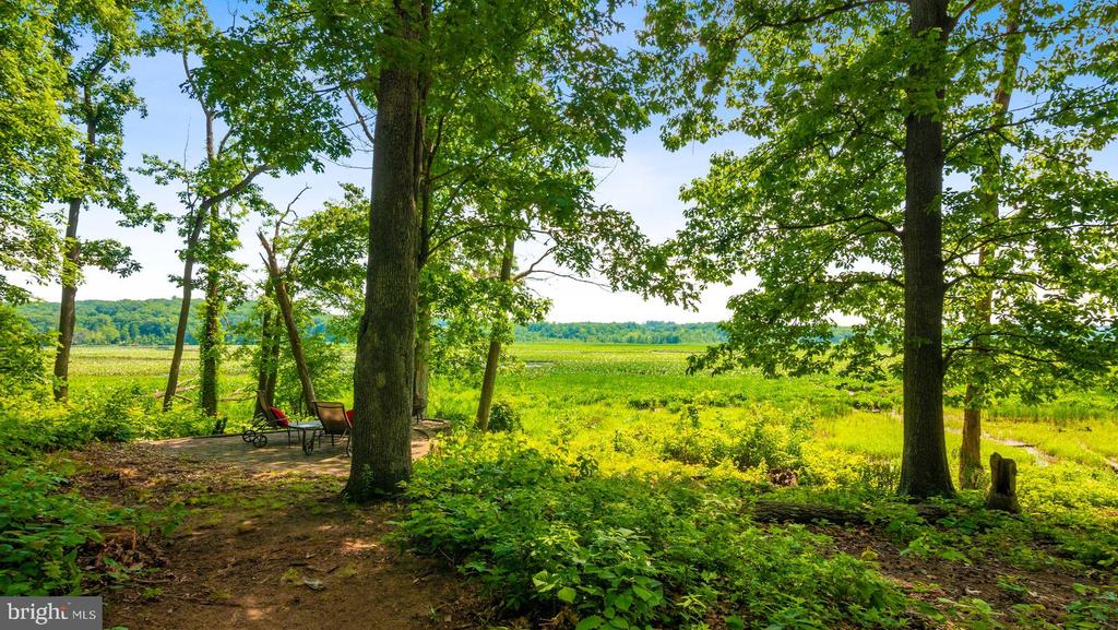 15590 CANVASBACK COURT