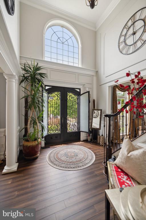 10009 ANGORA DRIVE