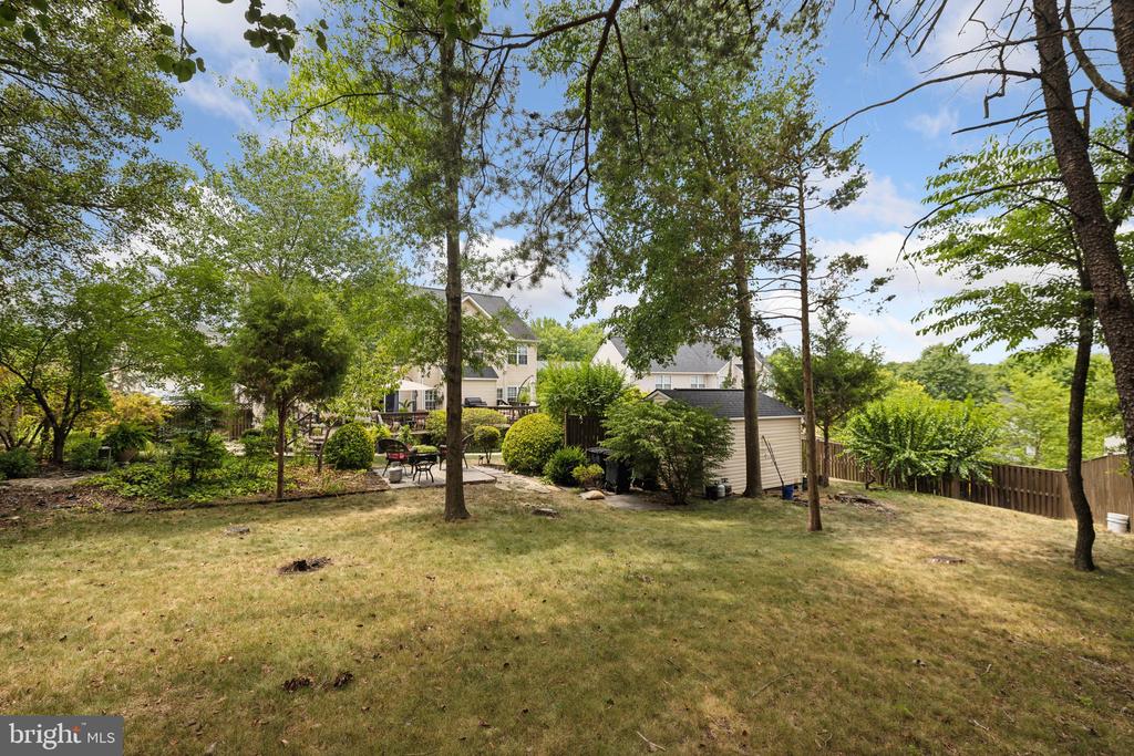 10009 ANGORA DRIVE