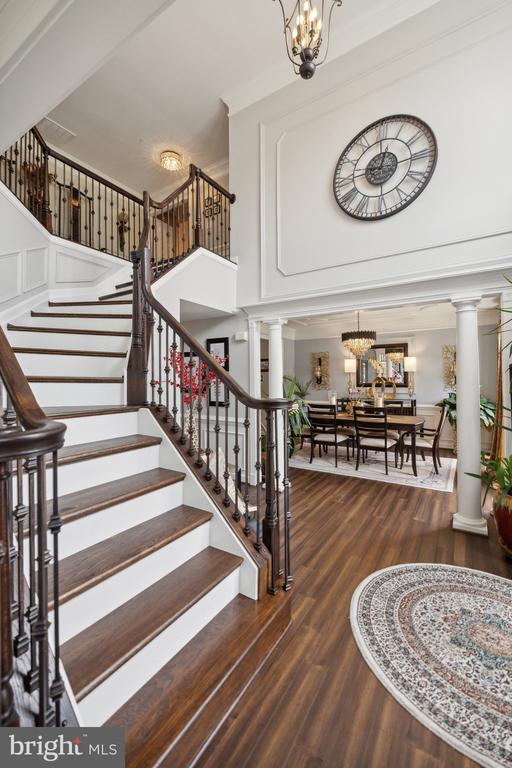 10009 ANGORA DRIVE