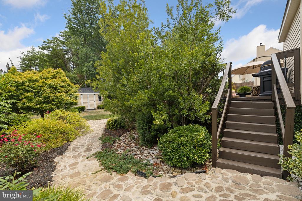 10009 ANGORA DRIVE