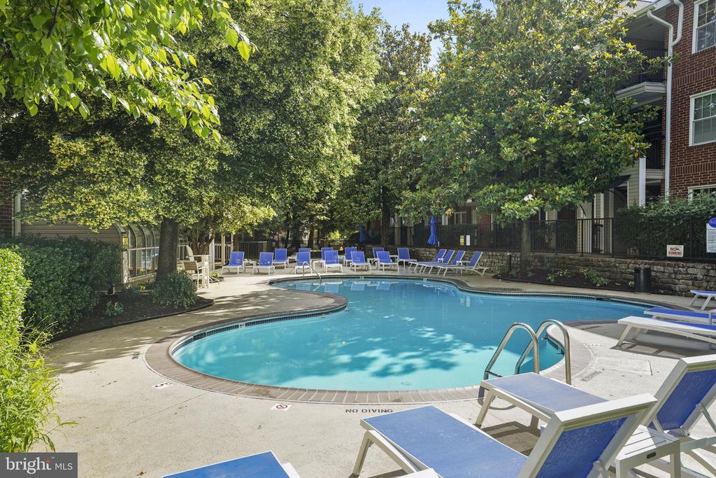 3313 WYNDHAM CIRCLE 1212