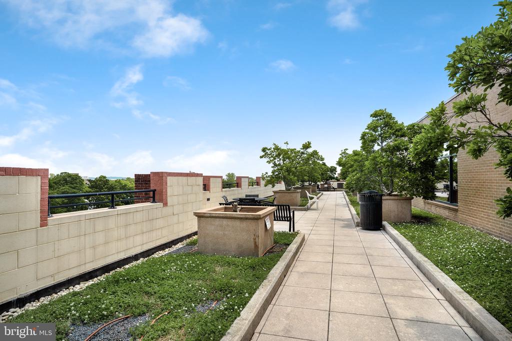 1111 ORONOCO STREET 436