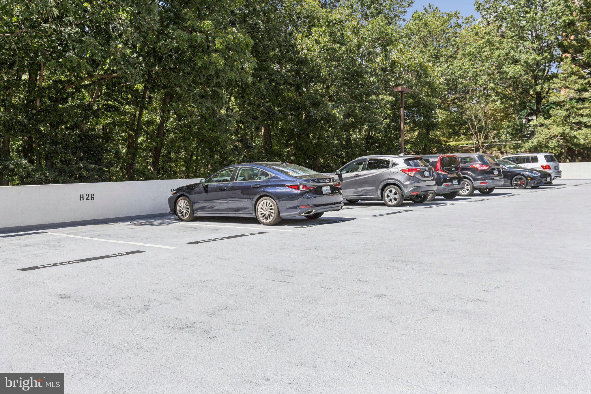 6101 EDSALL ROAD 1502