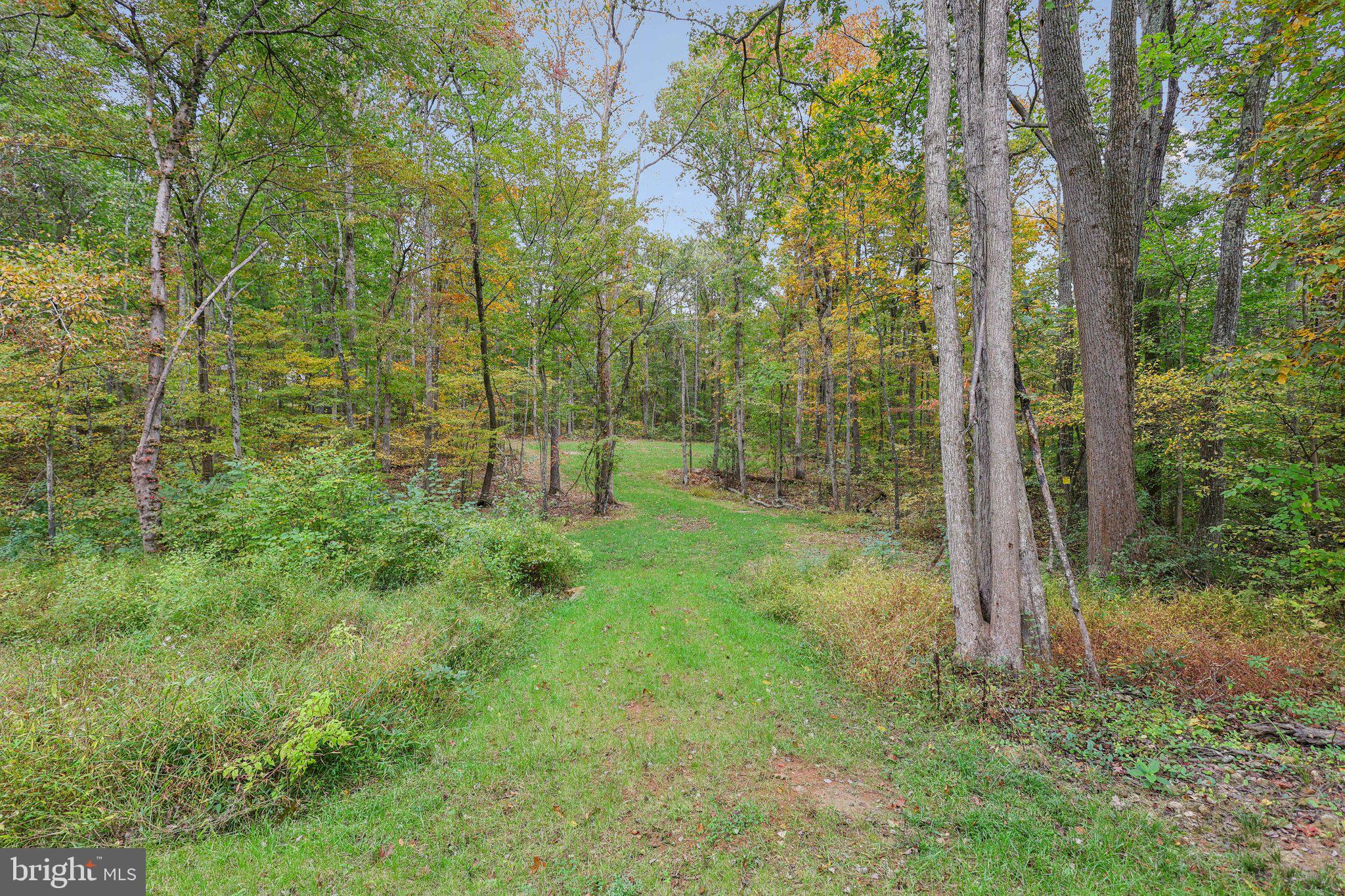 10643 SETTLE SCHOOL ROAD