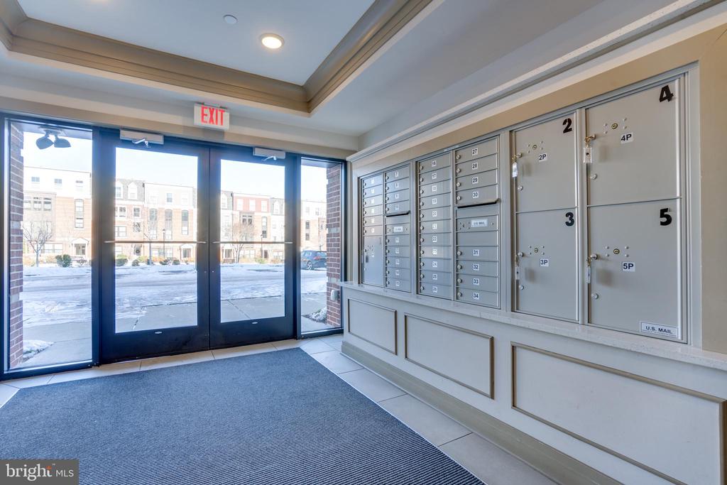 3989 NORTON PLACE 305