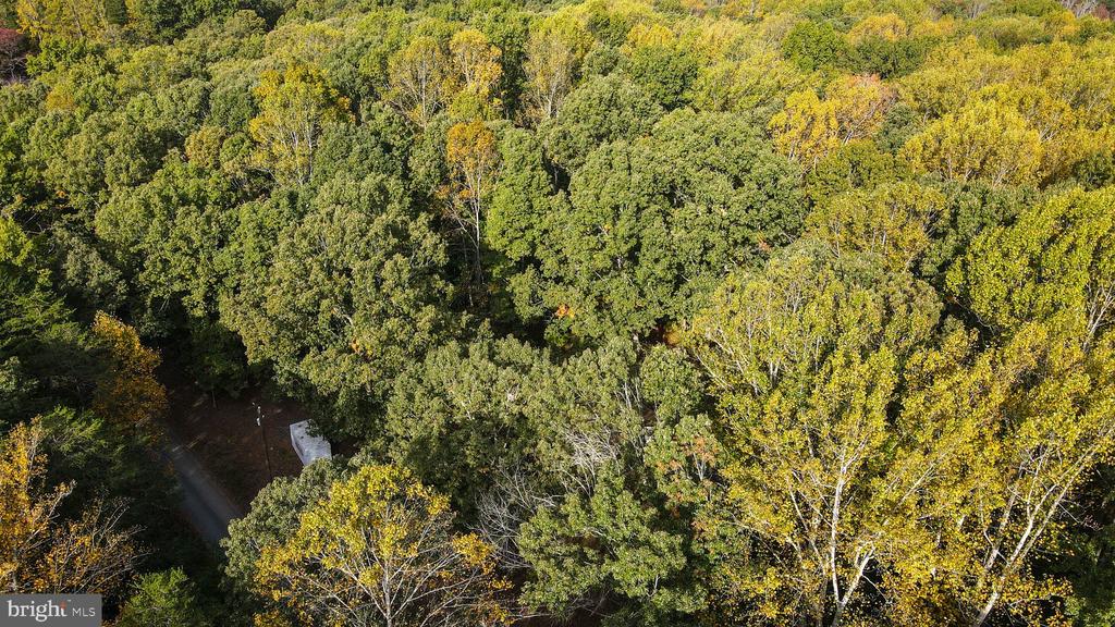 4194 GOLDMINE ROAD