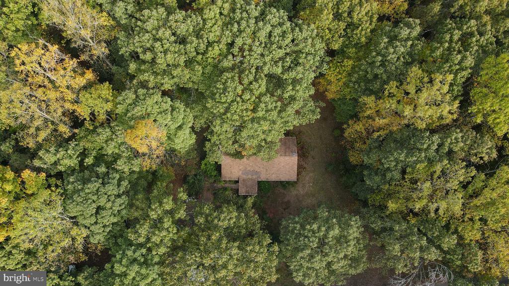4194 GOLDMINE ROAD