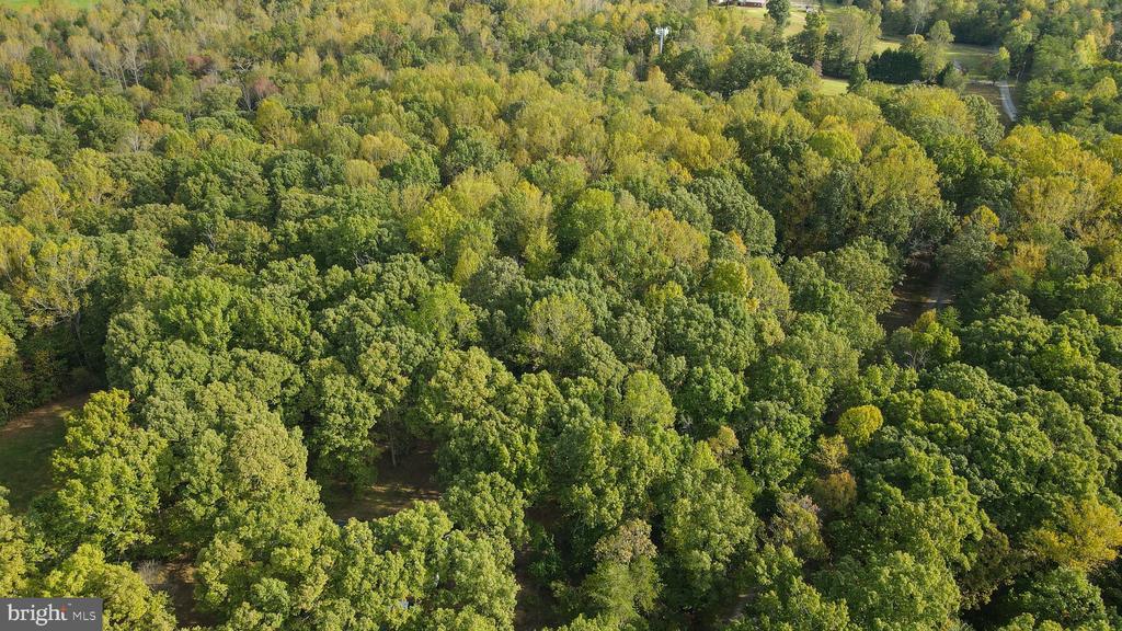 4194 GOLDMINE ROAD