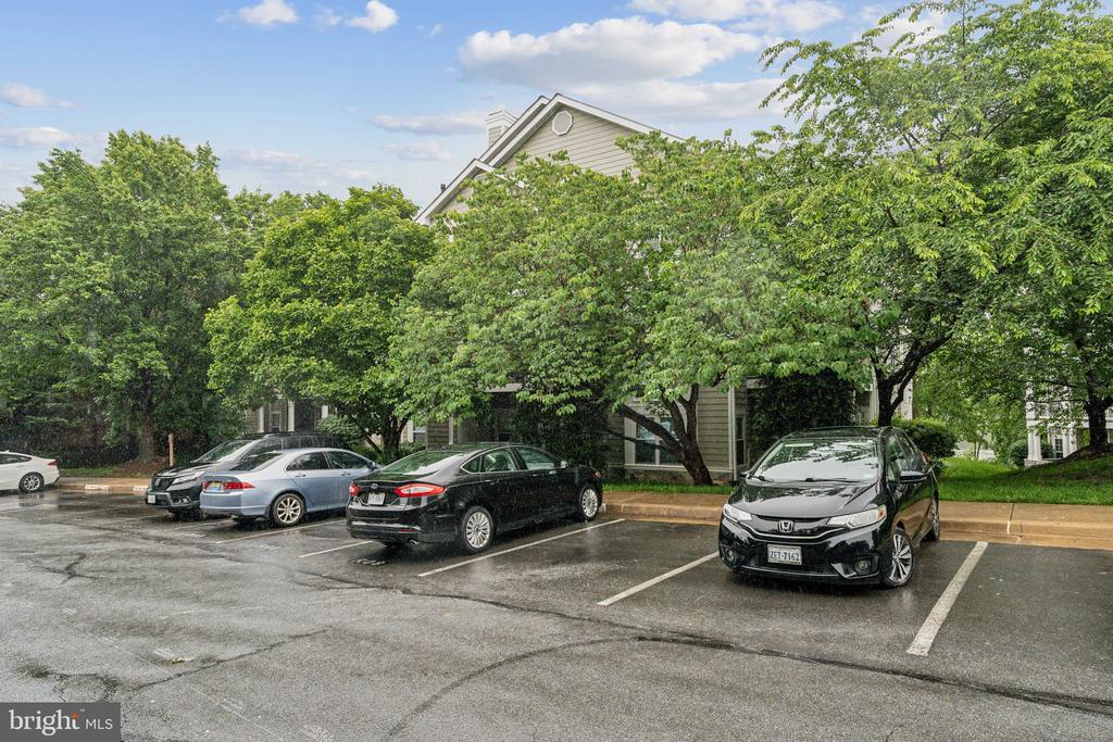 1708 LAKE SHORE CREST DRIVE 11