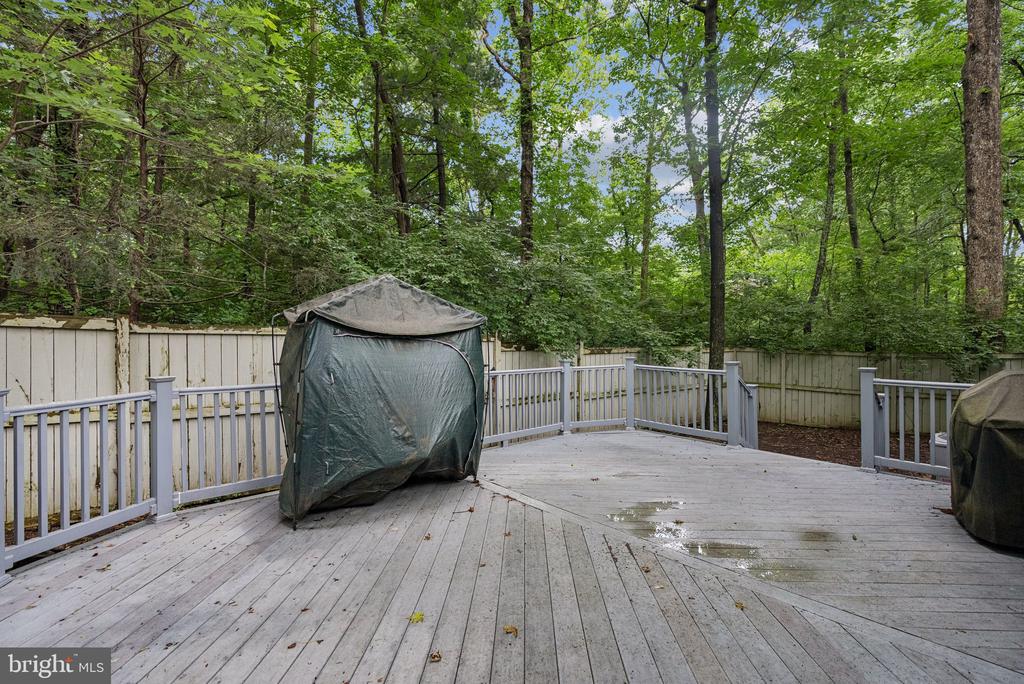 12309 TIGERS EYE COURT