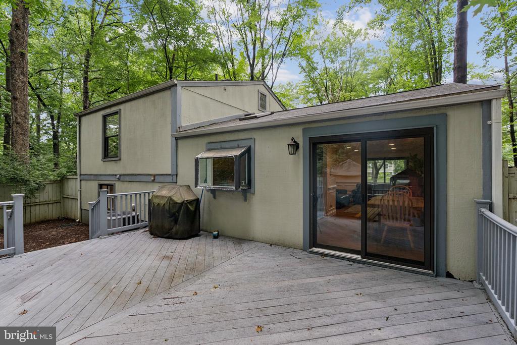 12309 TIGERS EYE COURT