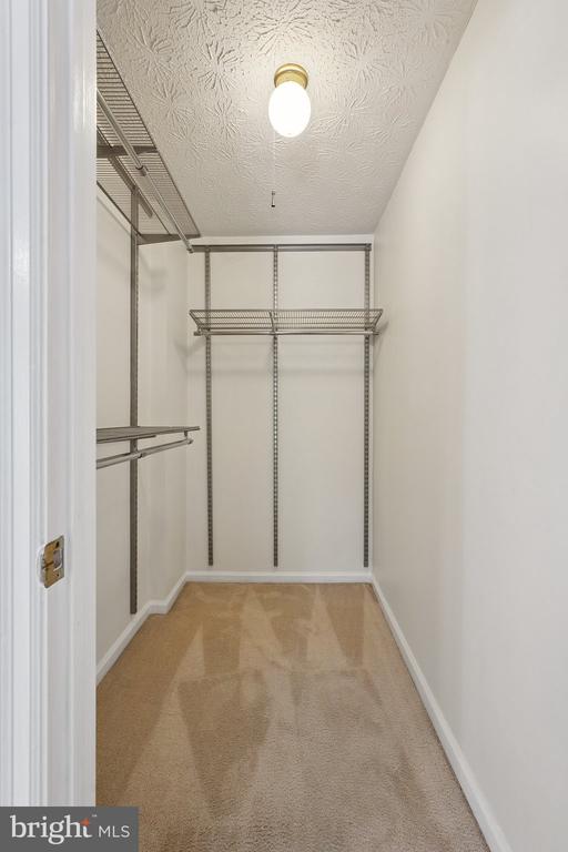 1511 TWISTED OAK DRIVE
