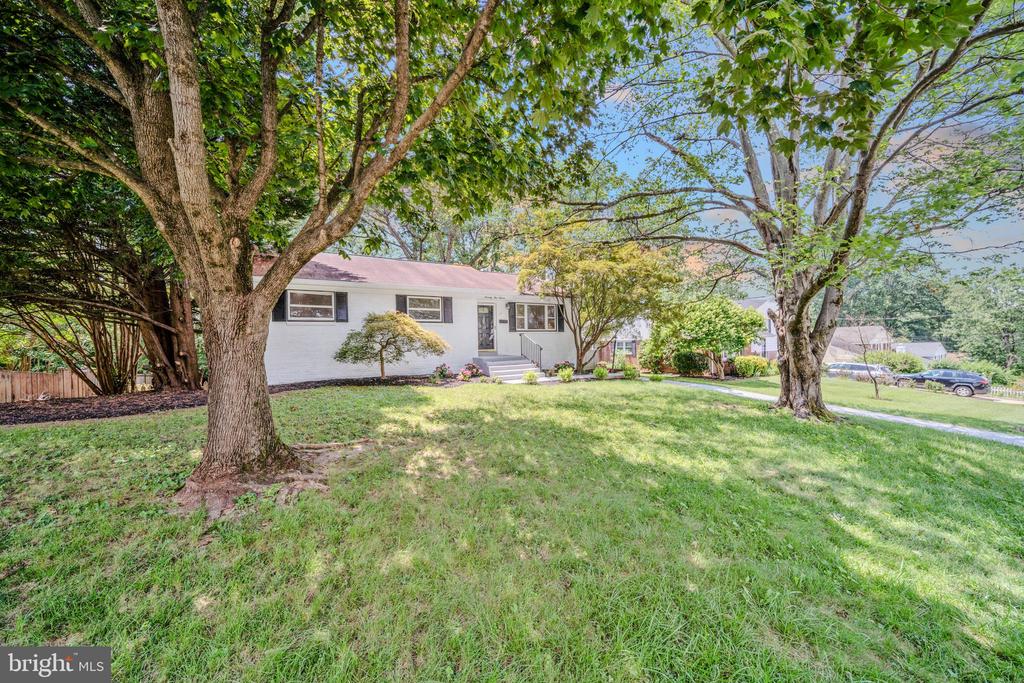 7511 JUNE STREET