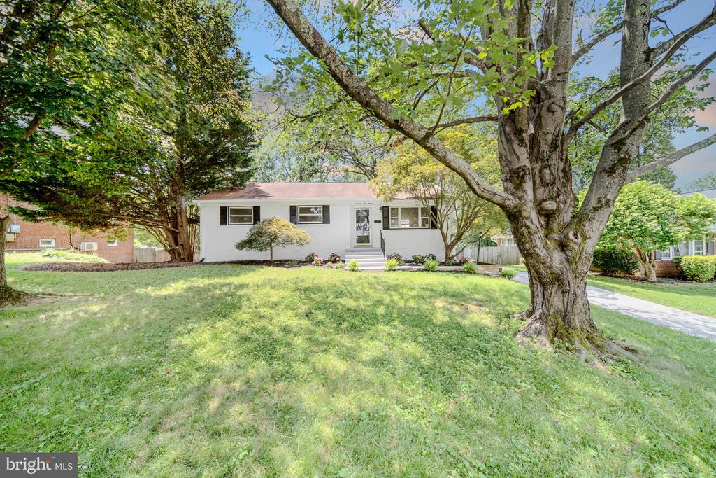 7511 JUNE STREET