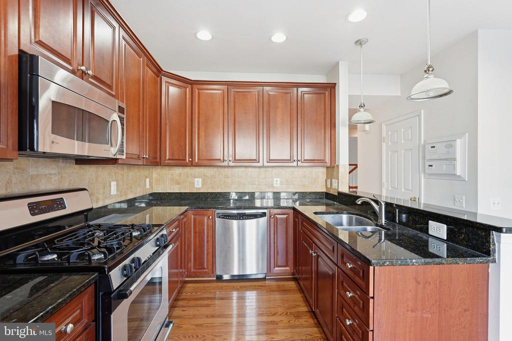 13532 STARGAZER TERRACE
