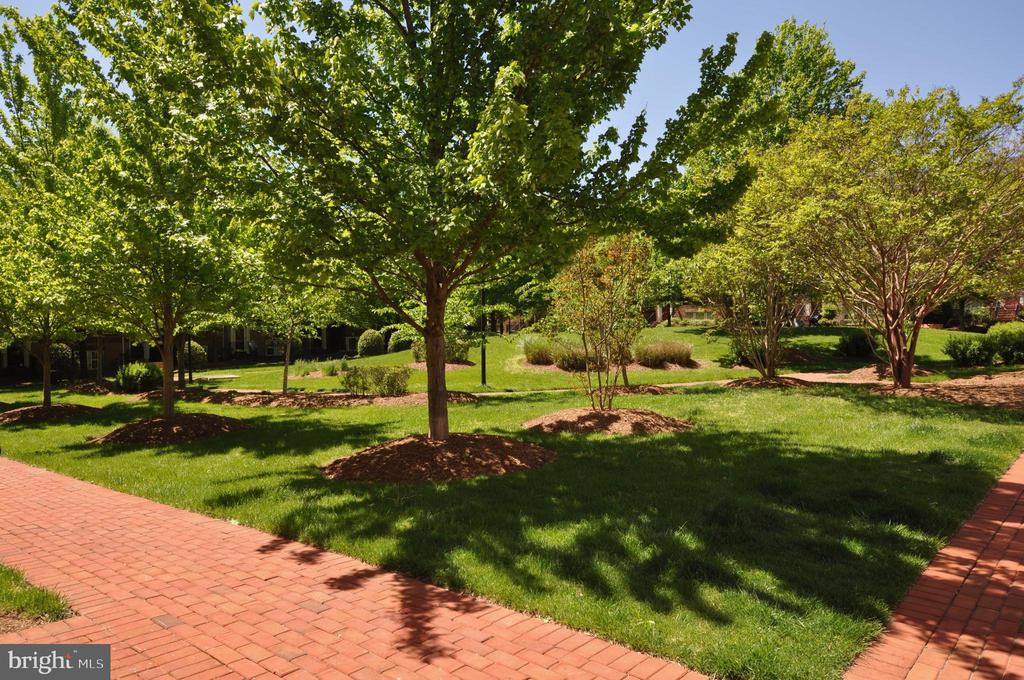 7976 VIGNE COURT