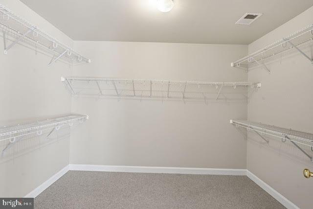 7976 VIGNE COURT