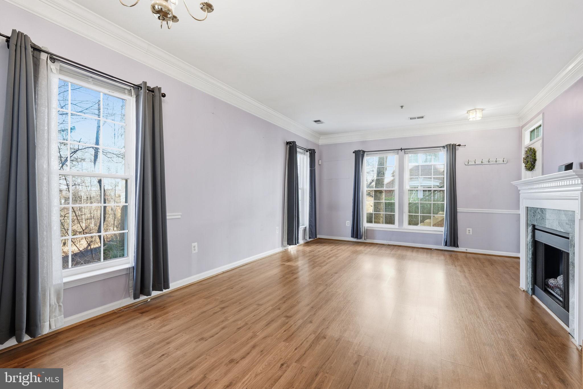11598 CAVALIER LANDING COURT 704A