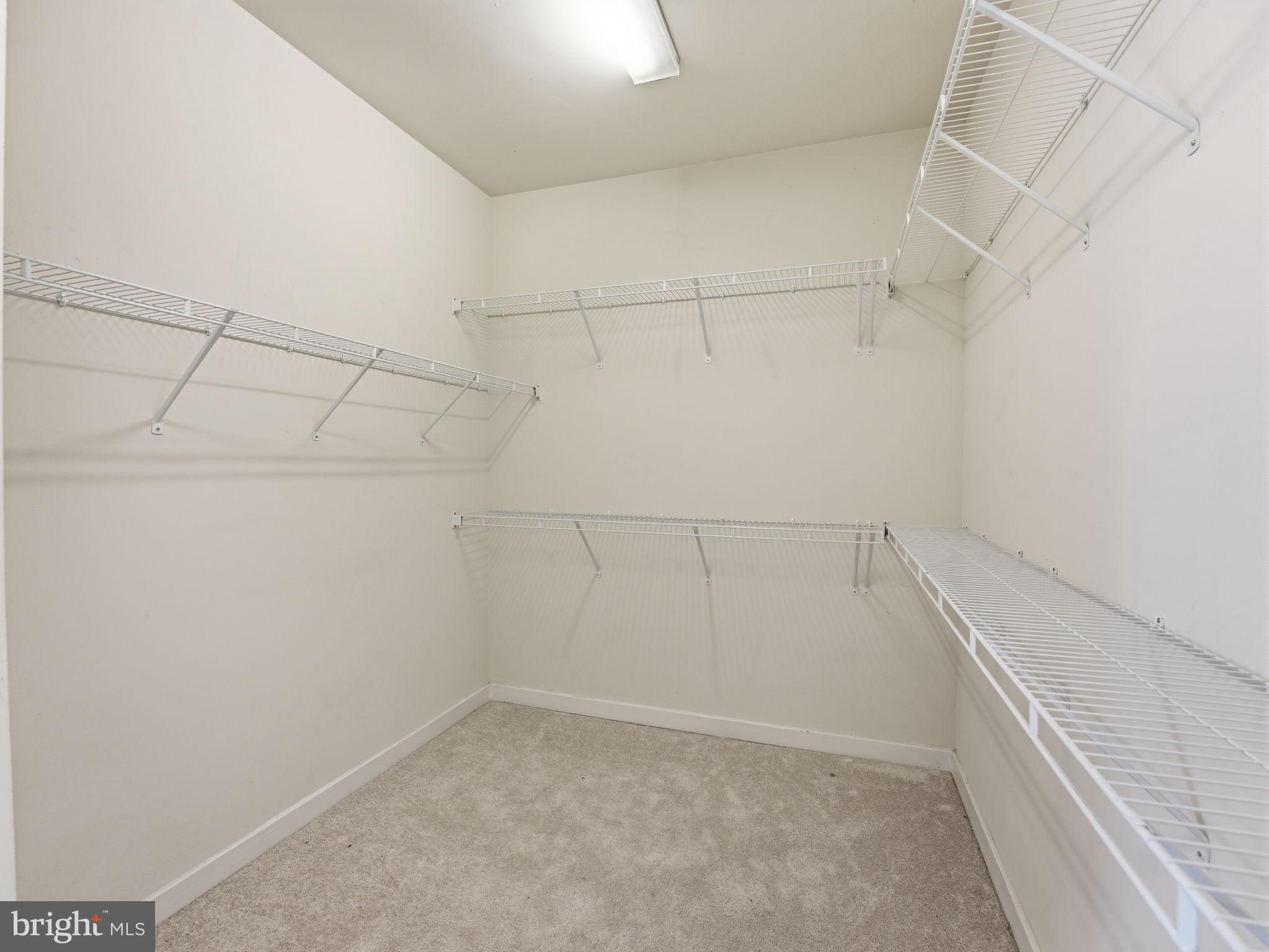 10719 VIOGNIER TERRACE