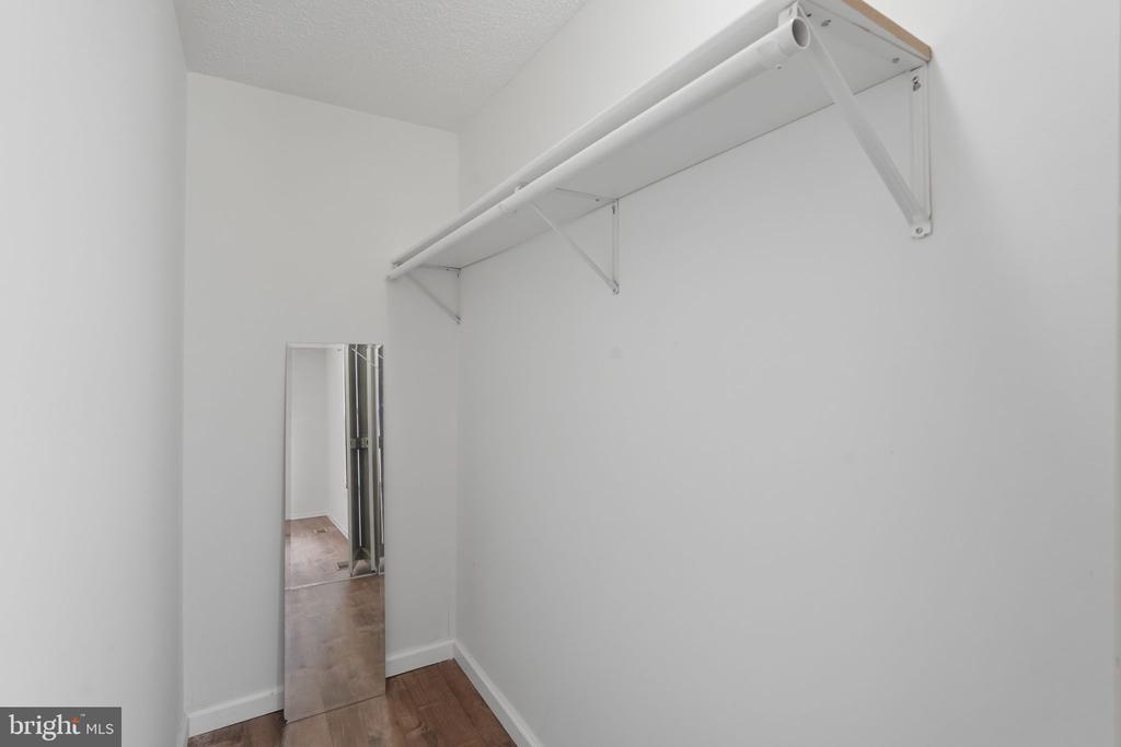 12302 SCOTCH BONNET COURT