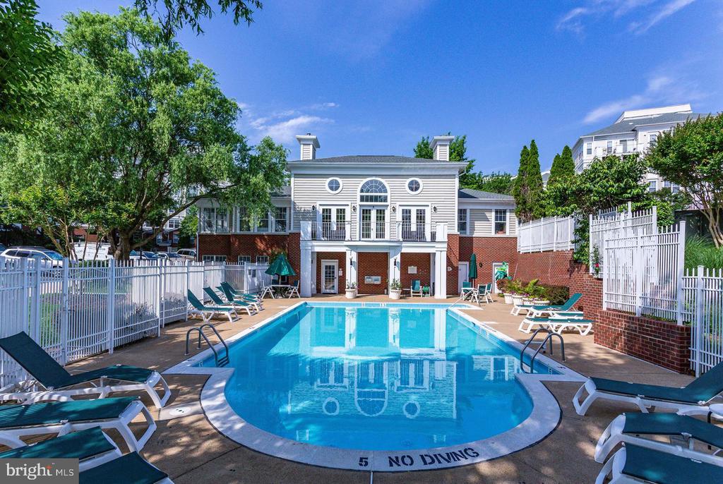 1645 INTERNATIONAL DRIVE Unit: 411