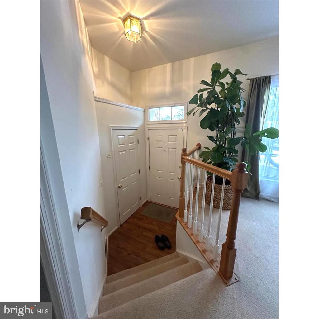 1414 PARK GARDEN LANE