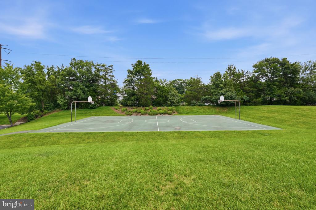 13222 GOOSE POND LANE