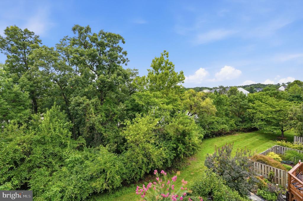 13222 GOOSE POND LANE