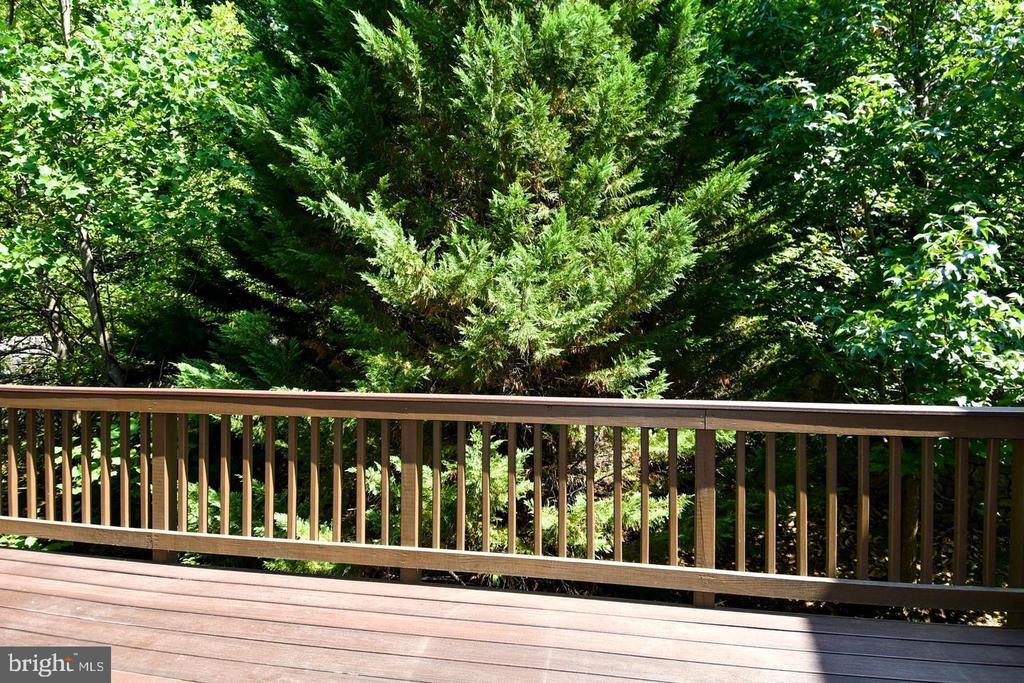 7810 LOCUST LEAF LANE