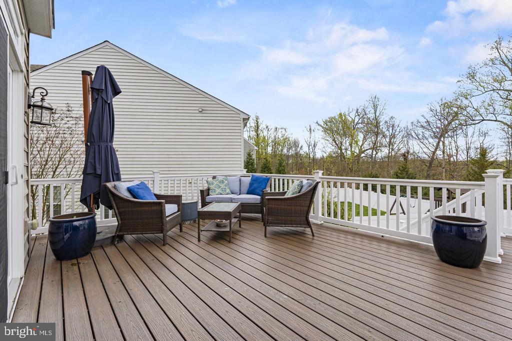 9228 CLEMENTINE COURT