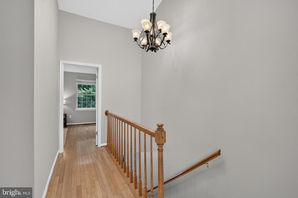 3609 BUCKEYE COURT