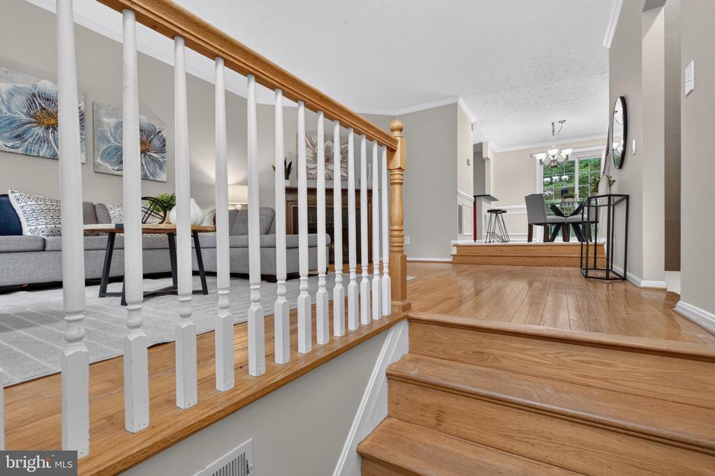 3609 BUCKEYE COURT