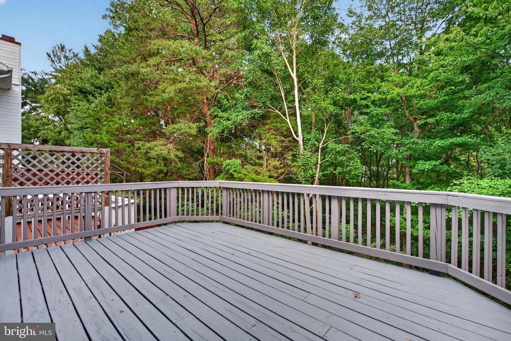 3609 BUCKEYE COURT