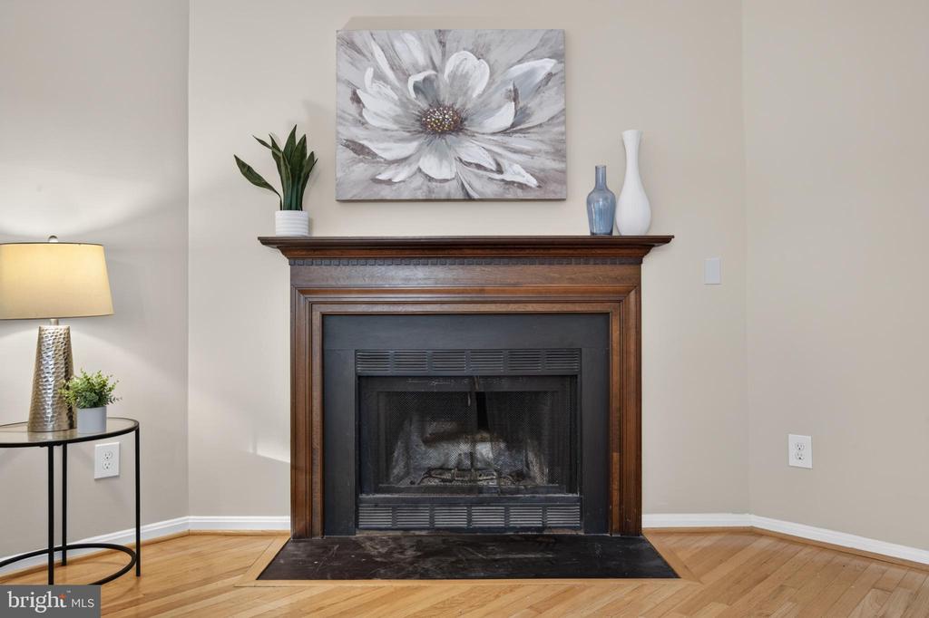 3609 BUCKEYE COURT